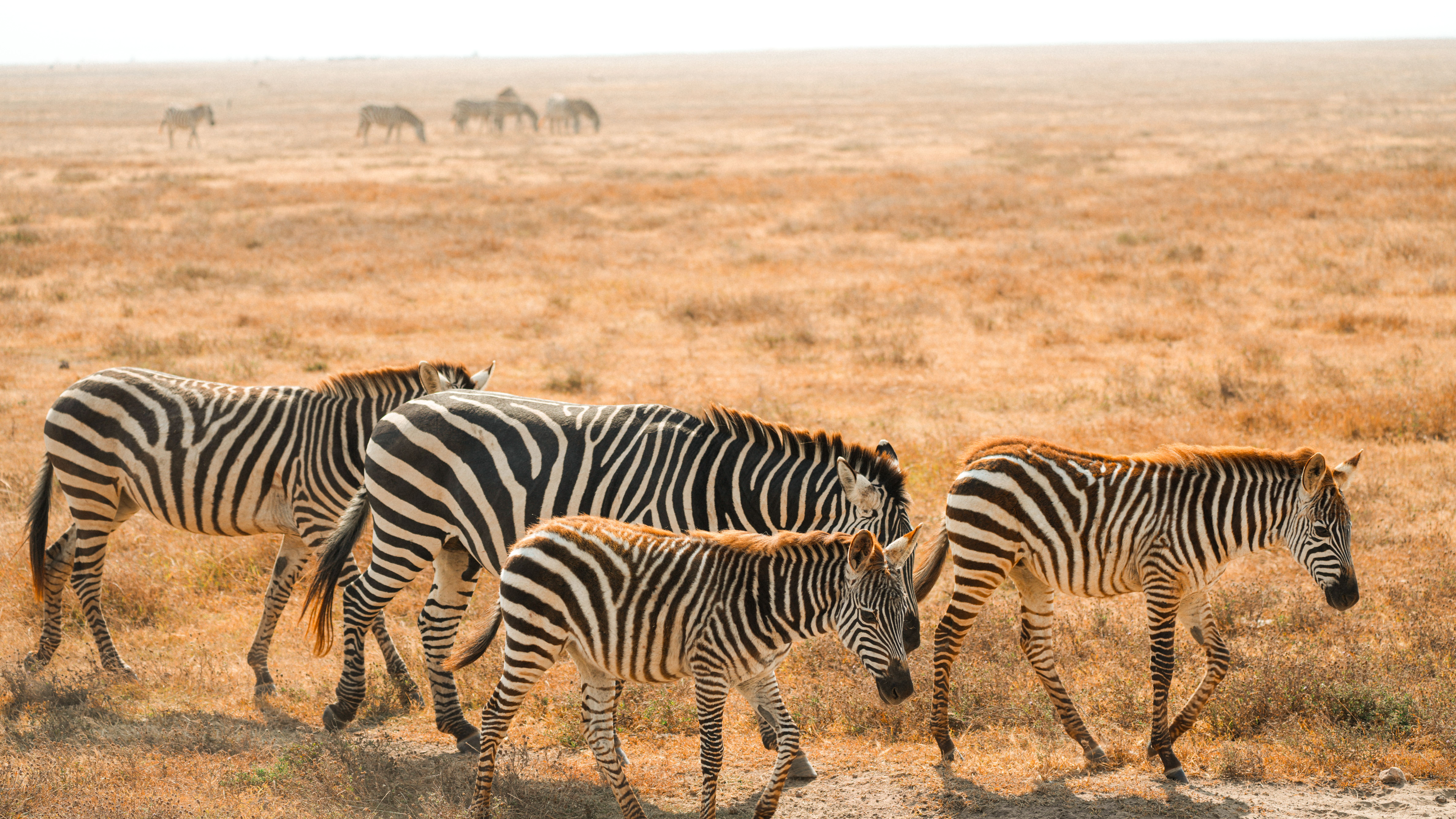 Kenya
