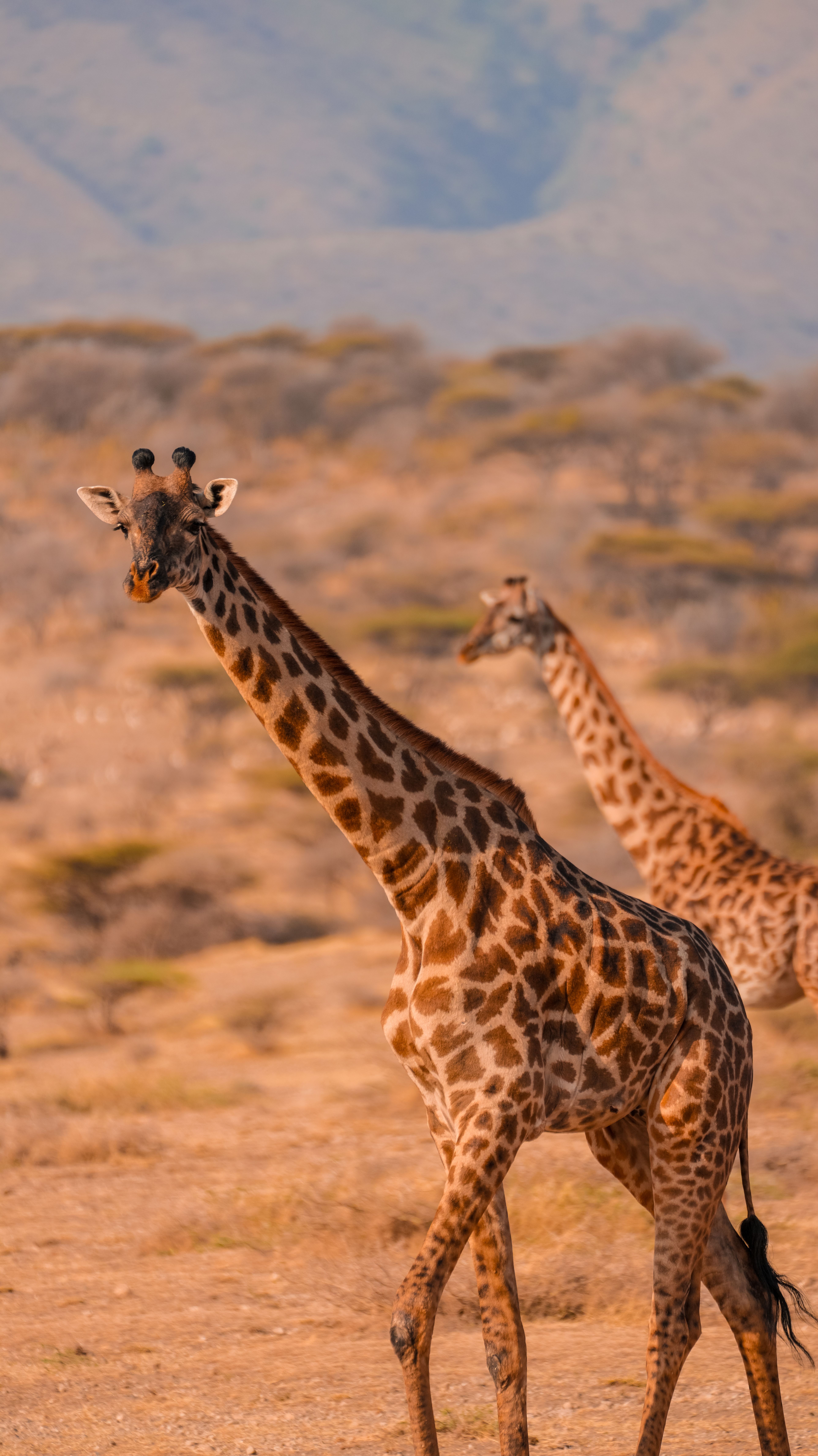 Kenya