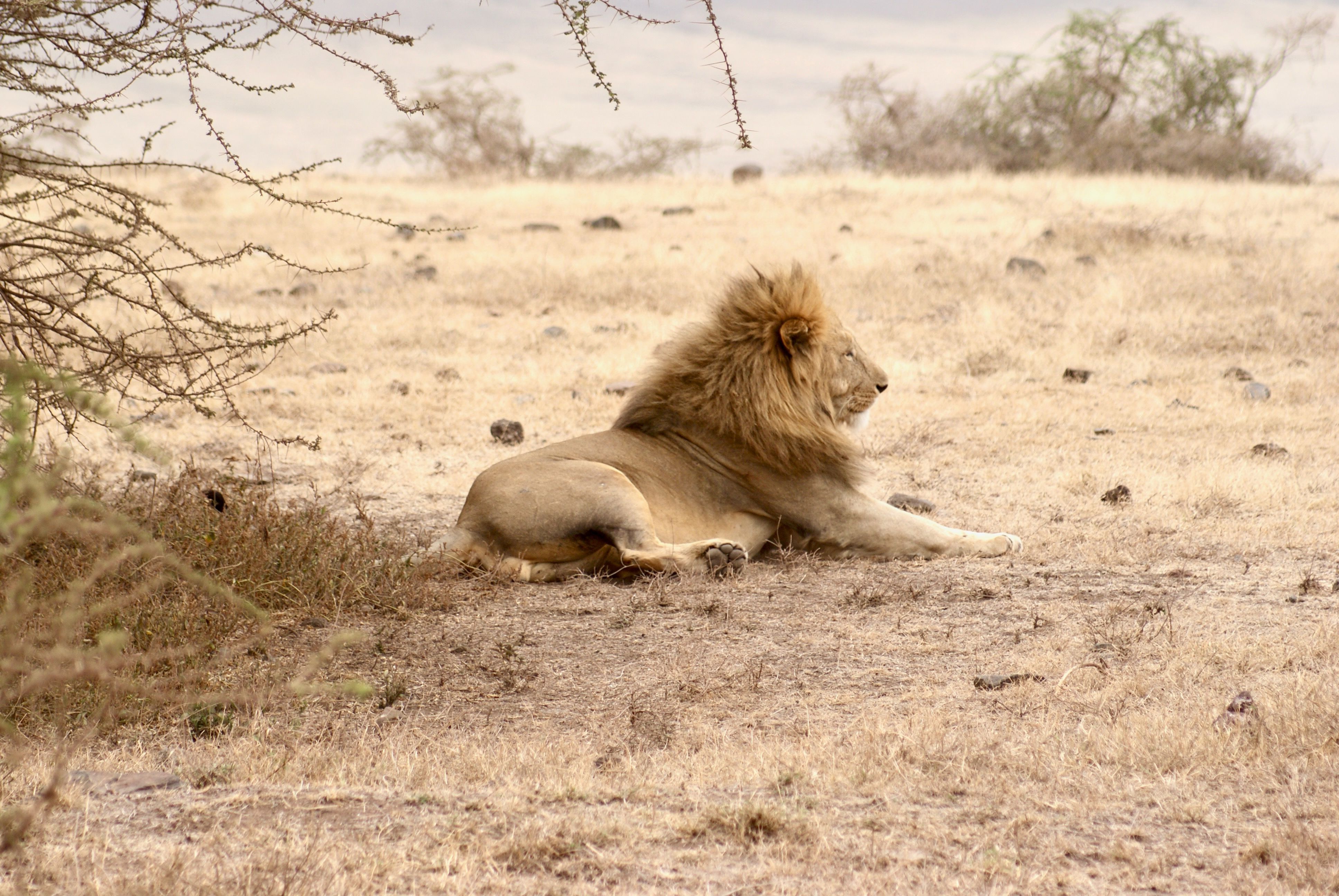 Tanzania