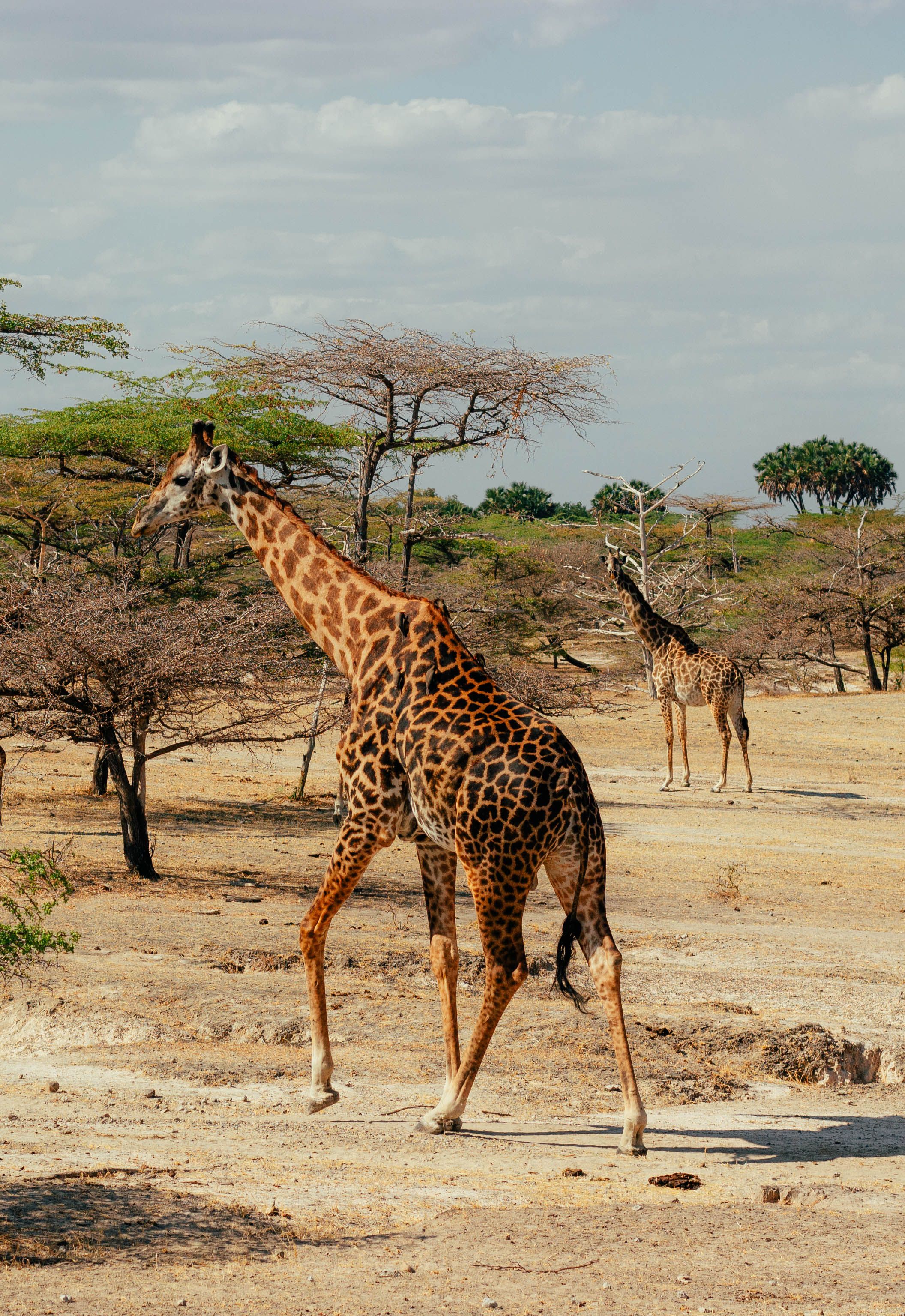 Tanzania
