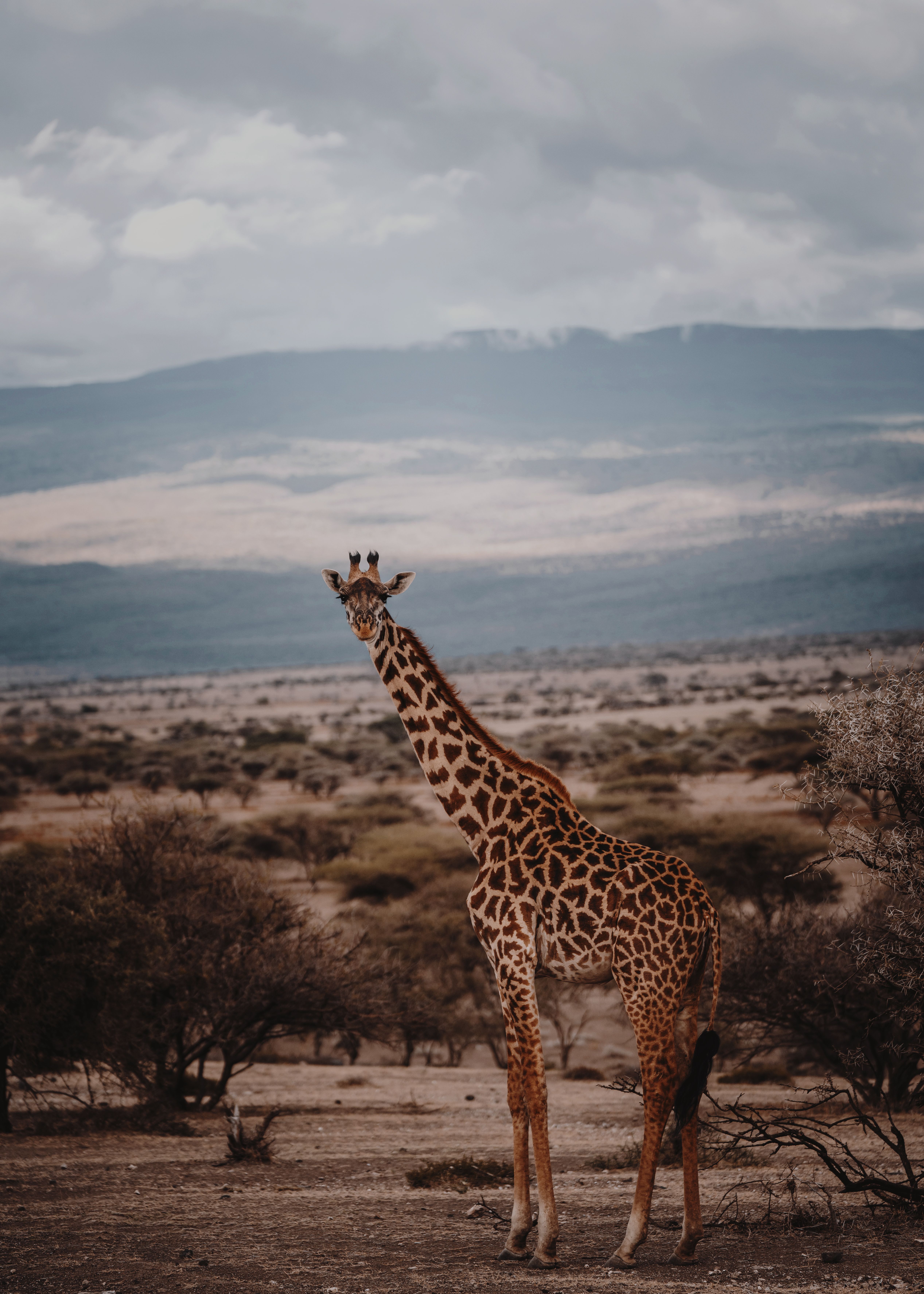 Rwanda