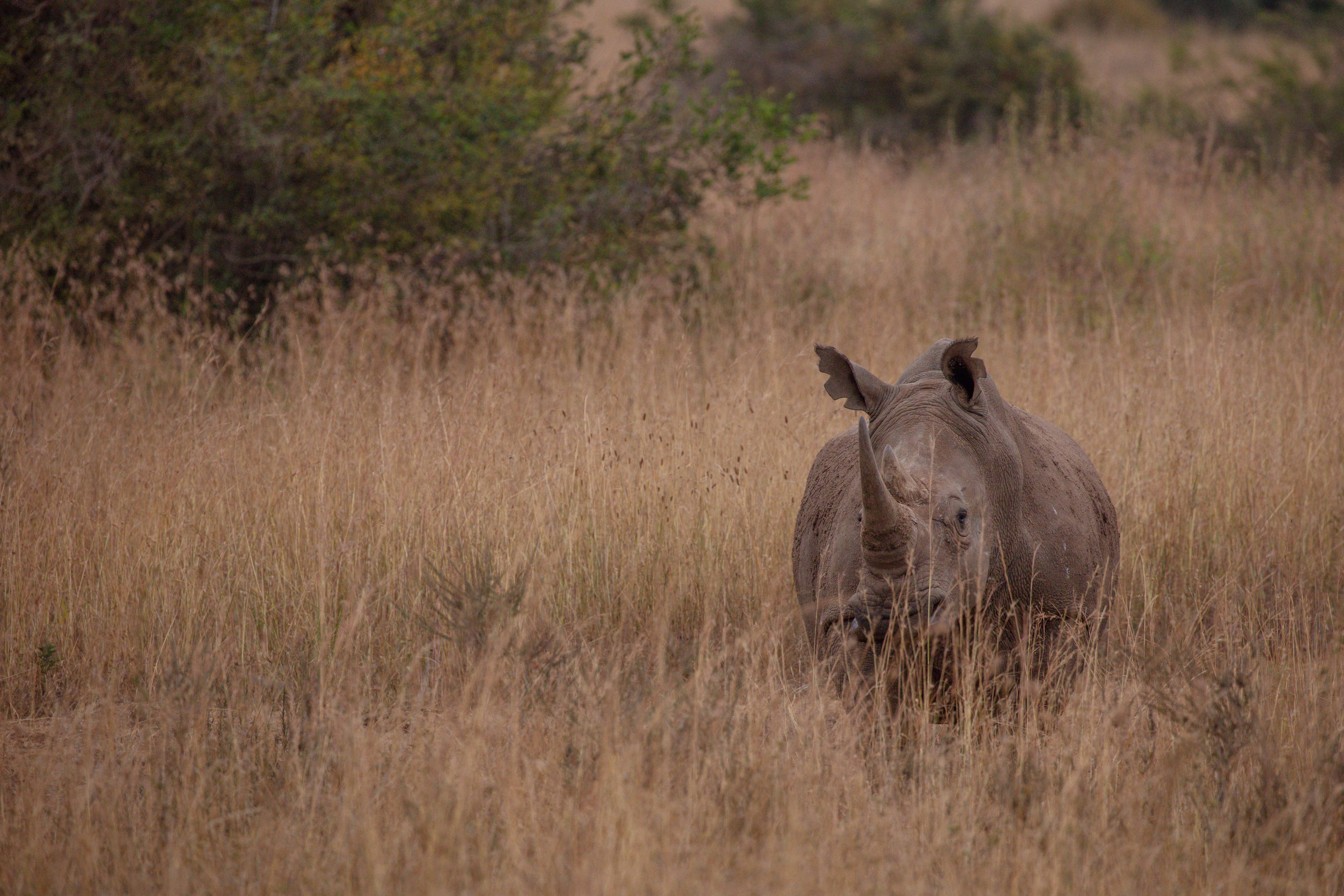 Tanzania
